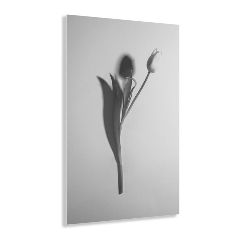 Glasschilderij-zwart-wit-tulp