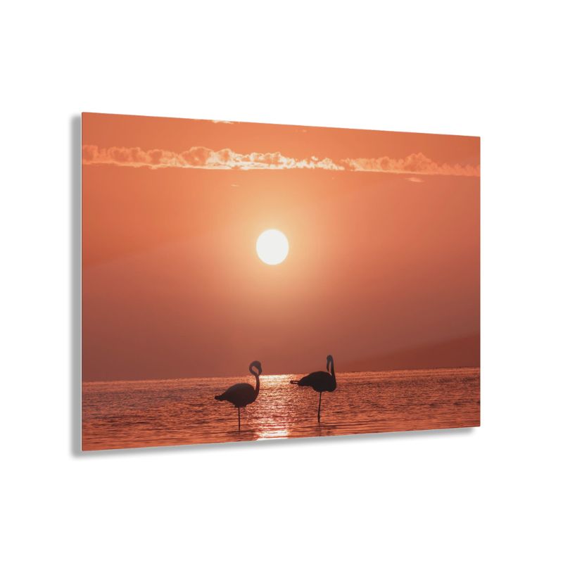 glasschilderij-flamingo-sunset
