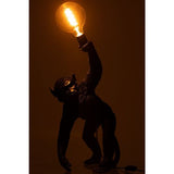 Lamp-aap-zwart-fitting-donker