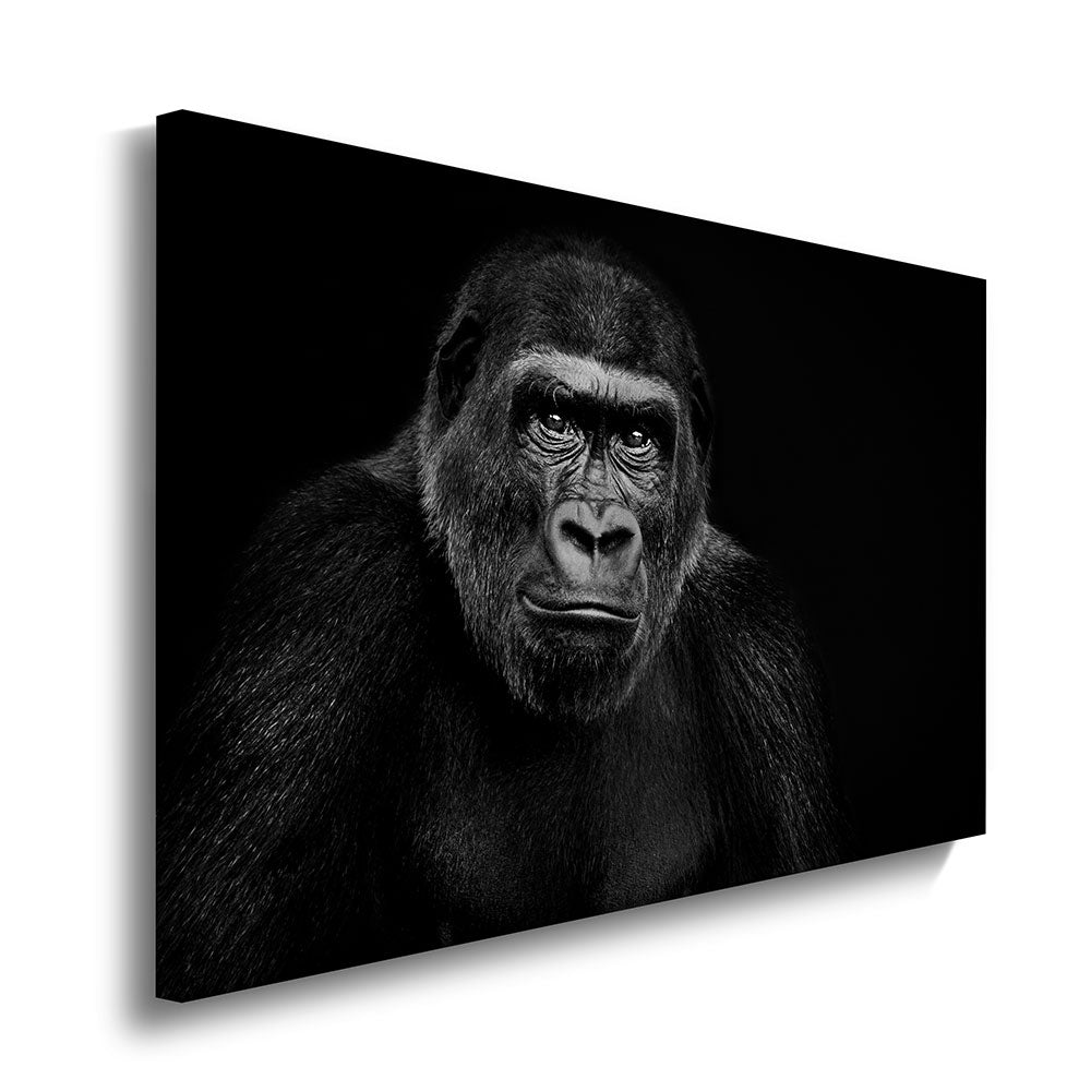 canvas schilderij aap