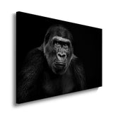 canvas schilderij aap