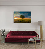 canvas schilderij boom in de weide kamer