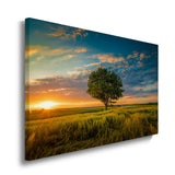 canvas schilderij boom in de weide