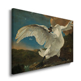 canvas schilderij de bedreigde zwaan