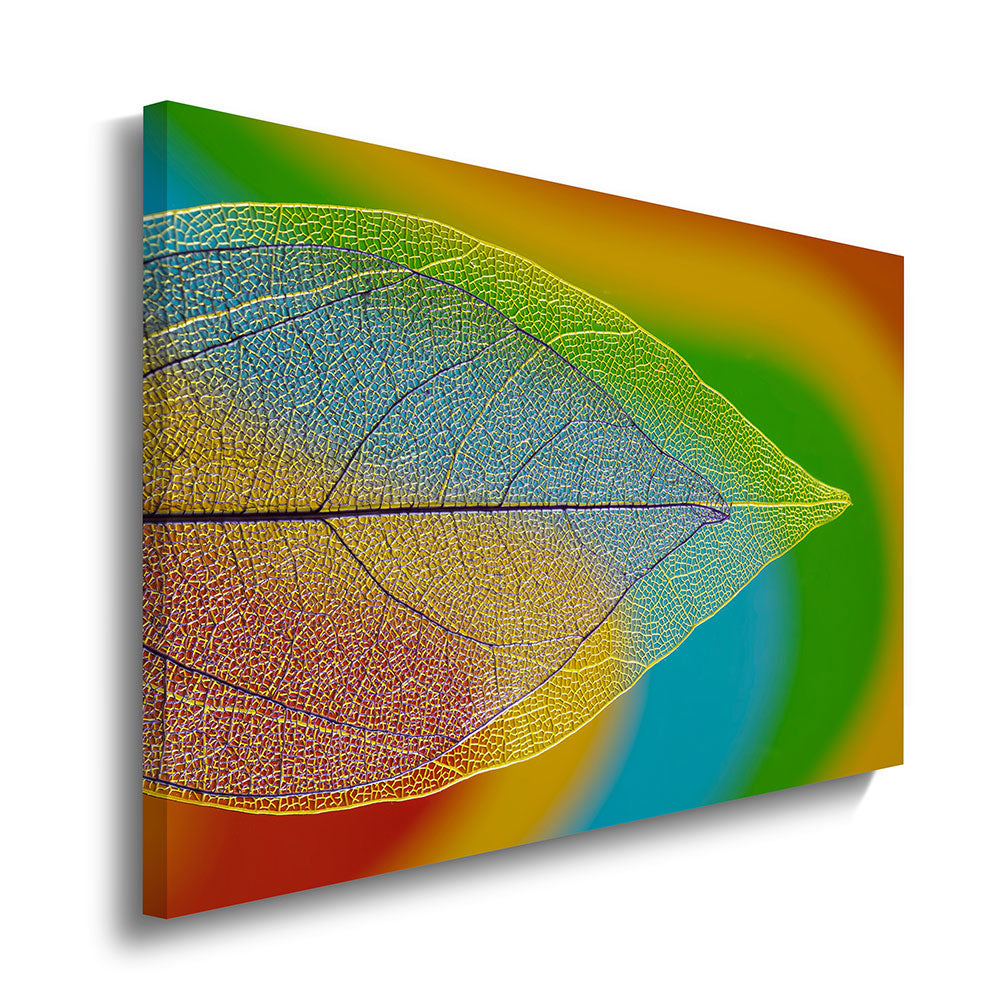 canvas schilderij doorzichtig blad