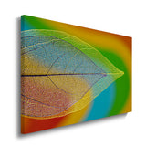 canvas schilderij doorzichtig blad