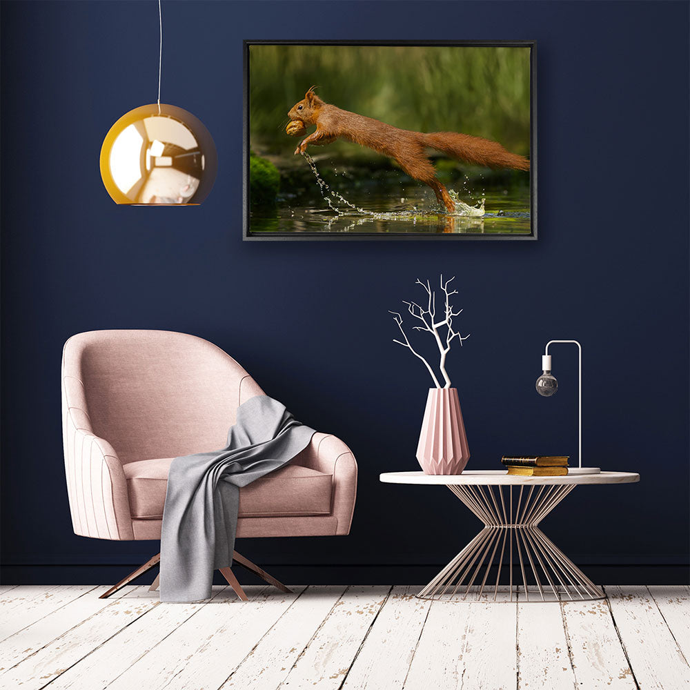 canvas schilderij eekhoorn met noot baklijst kamer