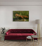 canvas schilderij eekhoorn met noot kamer