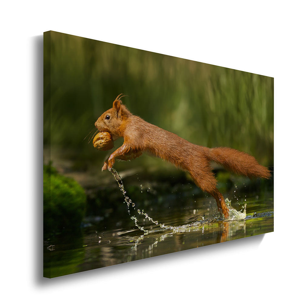canvas schilderij eekhoorn met noot