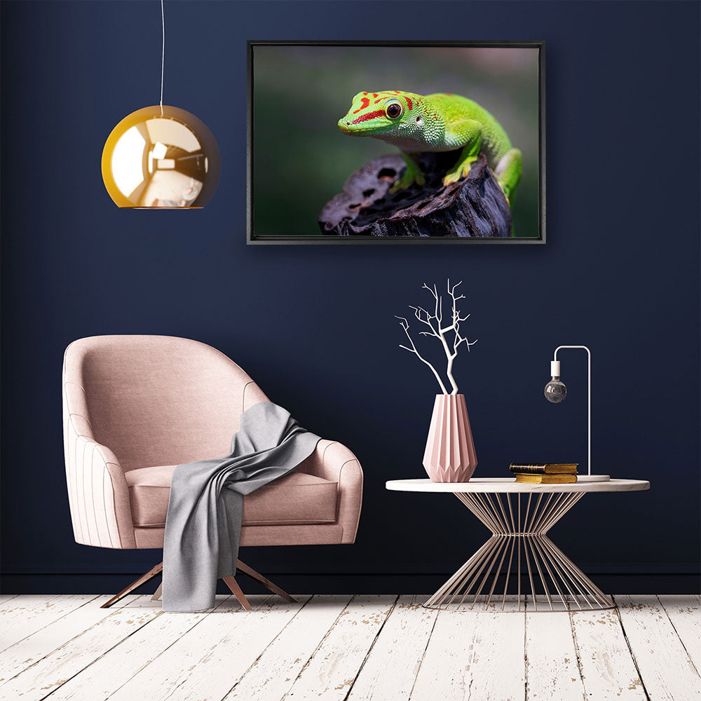 canvas schilderij gekko baklijst kamer