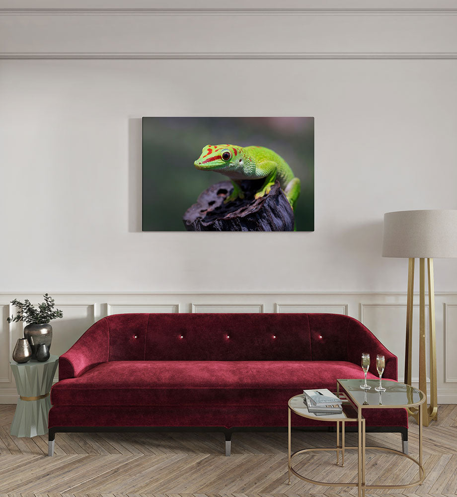 canvas schilderij gekko kamer