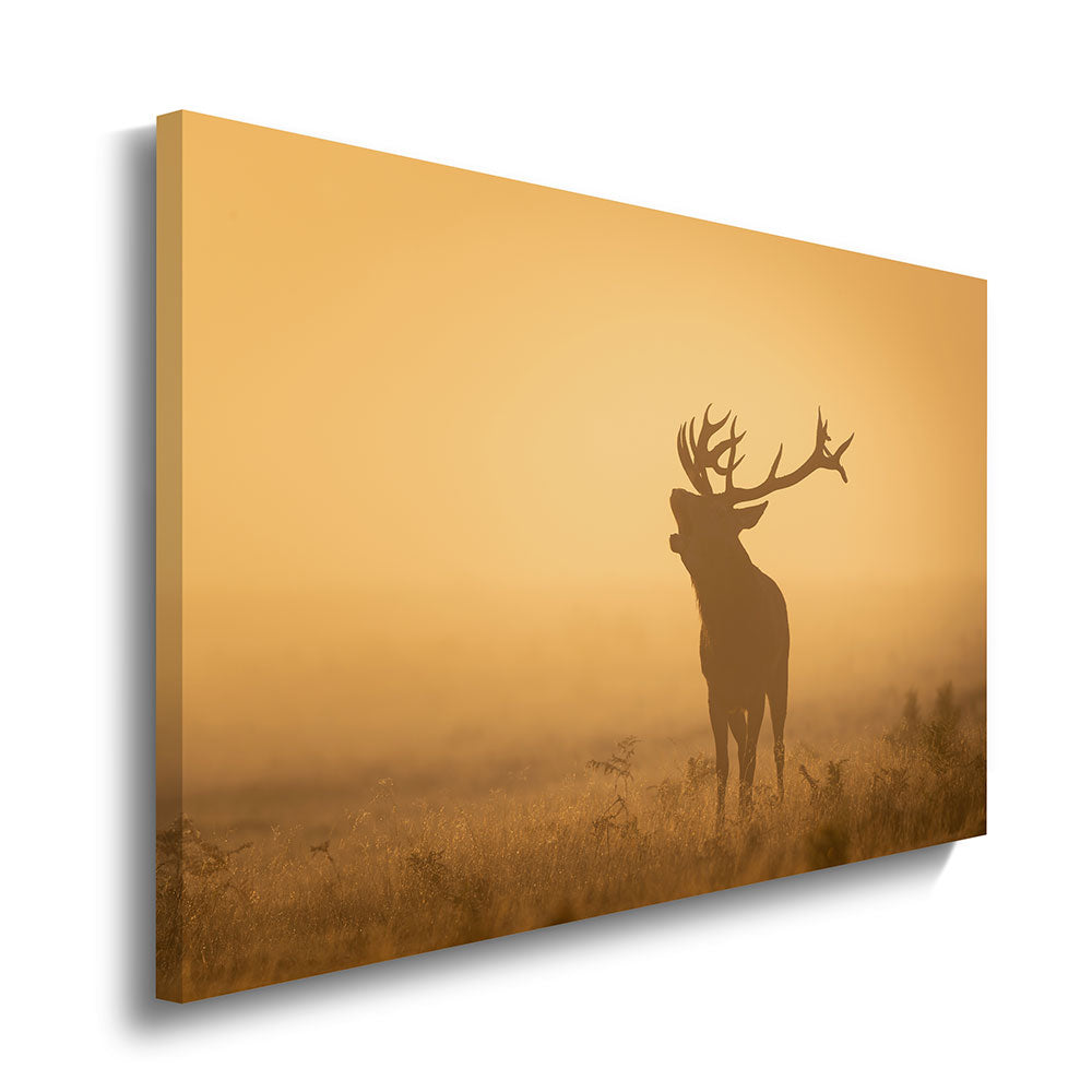 canvas schilderij hert bij zonsondergang