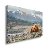 canvas schilderij hooglander bergen