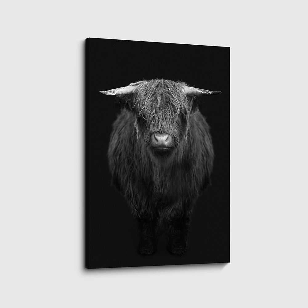 canvas schilderij hooglander zwart wit