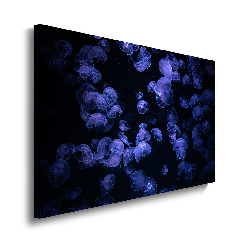 canvas schilderij kwallen