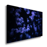 canvas schilderij kwallen