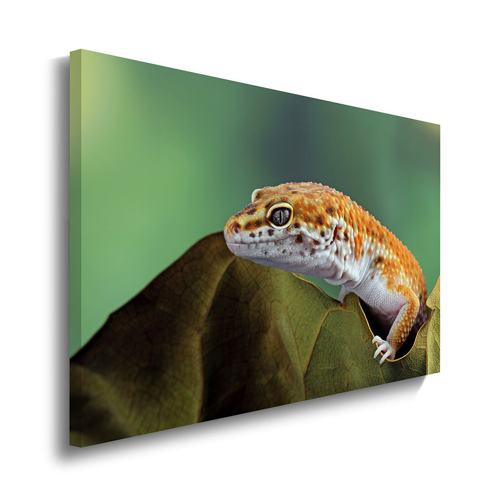 canvas schilderij luipaard gekko