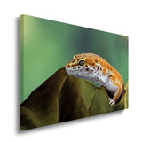 canvas schilderij luipaard gekko