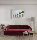 canvas schilderij money tree kamer
