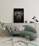 canvas schilderij olifant zwart wit wachtruimte