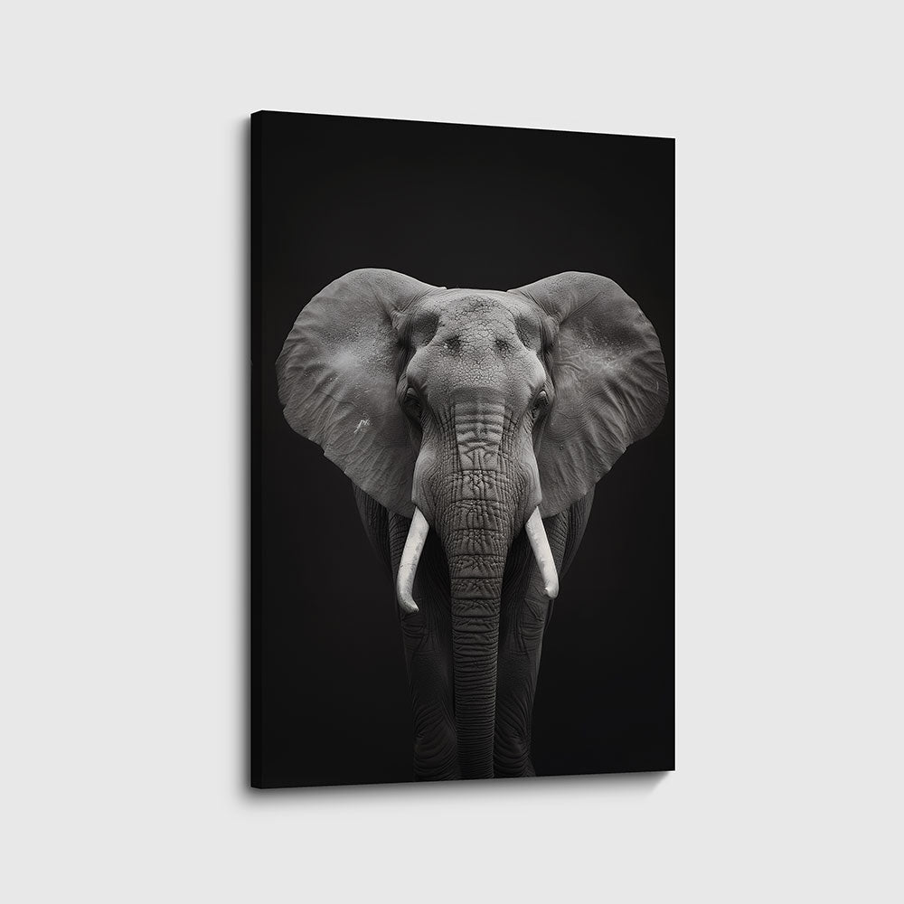 canvas schilderij olifant zwart wit