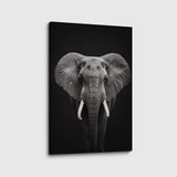 canvas schilderij olifant zwart wit
