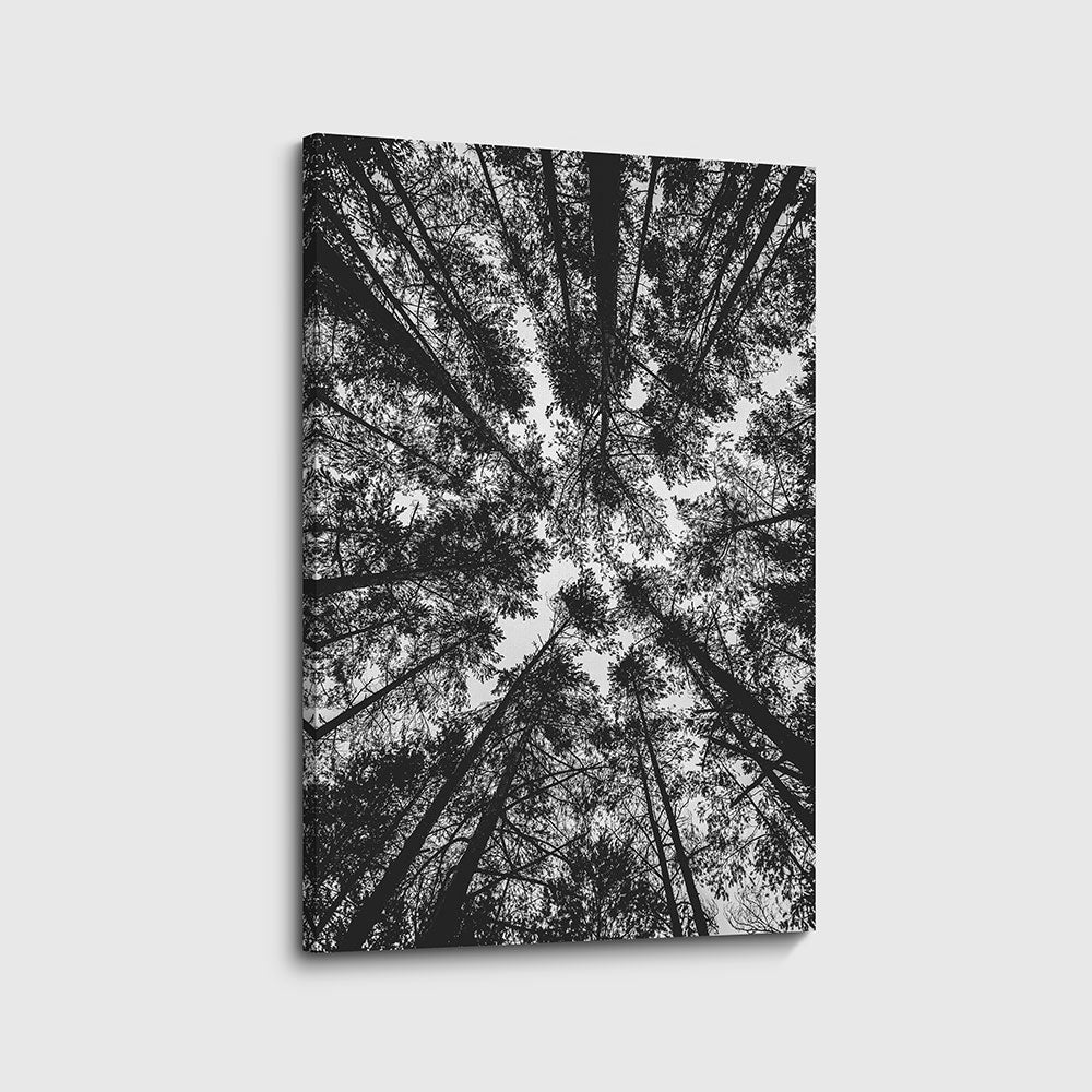 canvas schilderij opening in het bos