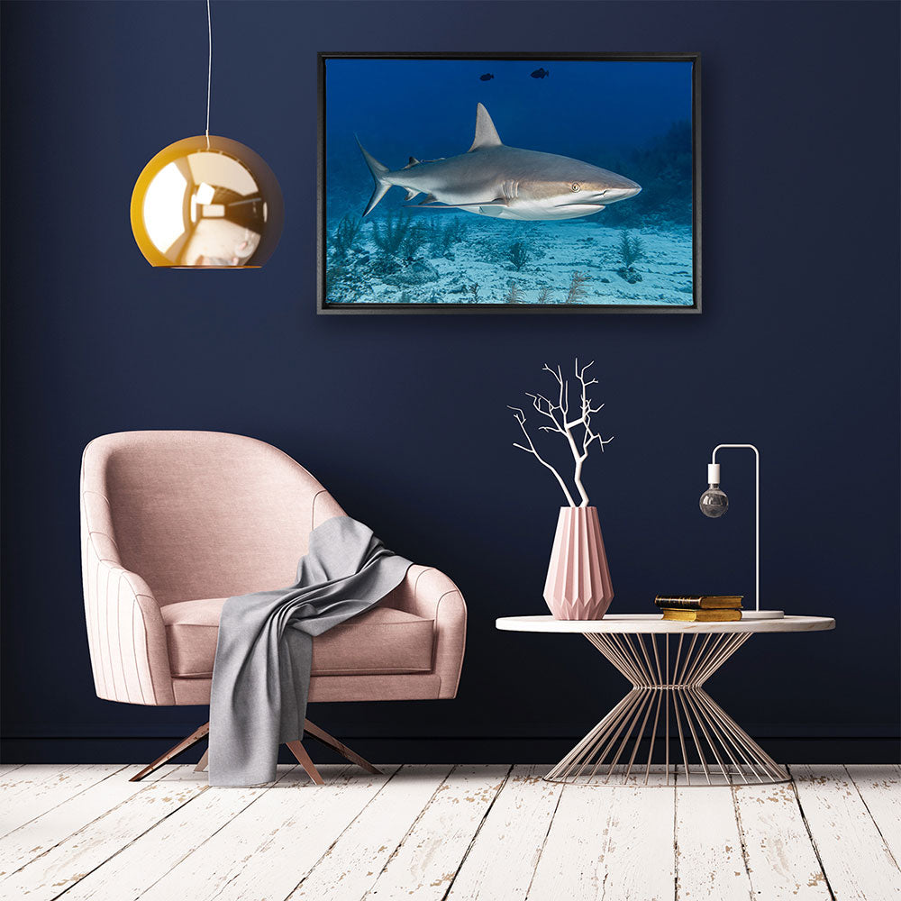 canvas schilderij rifhaai baklijst kamer