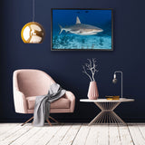 canvas schilderij rifhaai baklijst kamer