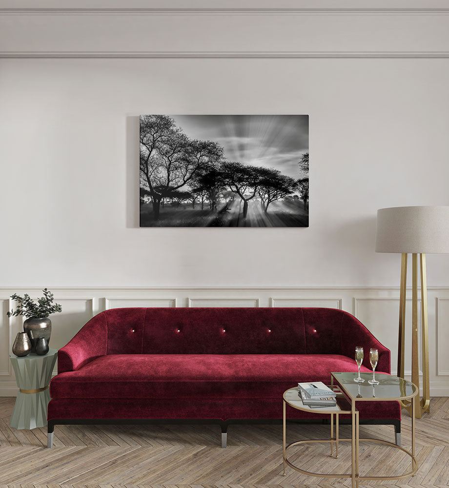 canvas schilderij savanne zonsondergang kamer