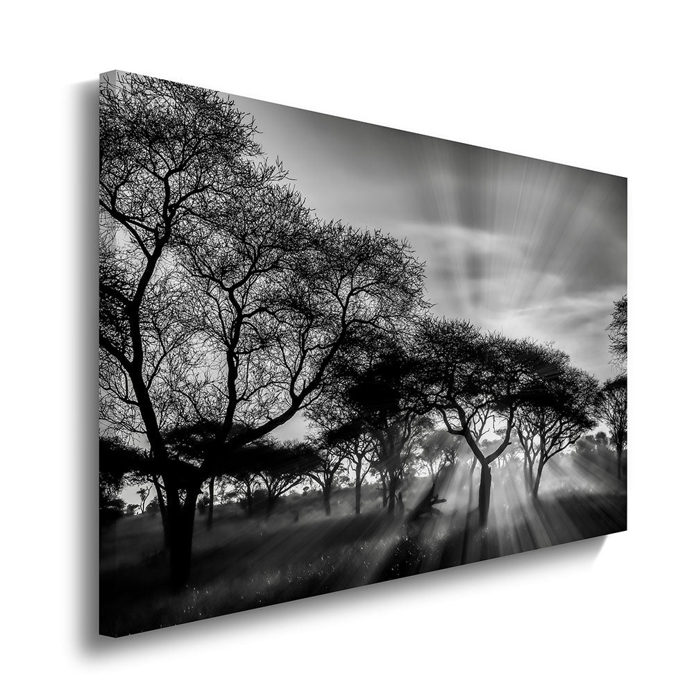 canvas schilderij savanne zonsondergang