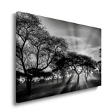 canvas schilderij savanne zonsondergang