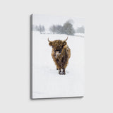 canvas schilderij snowflake hooglander lion