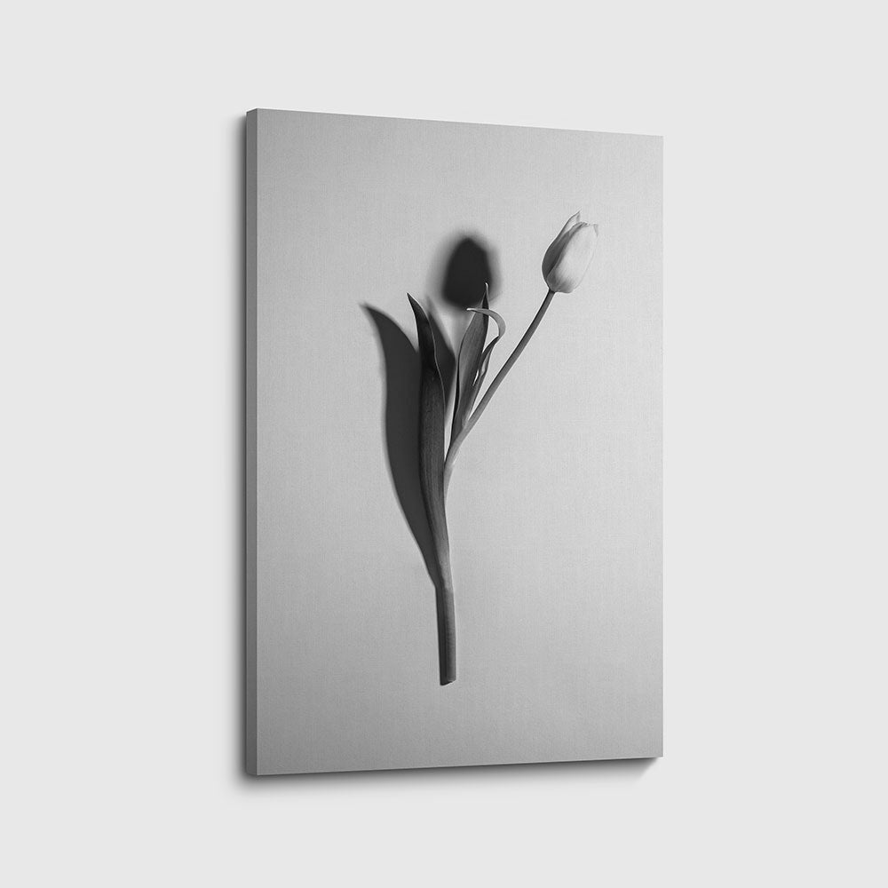 canvas schilderij zwart wit tulp