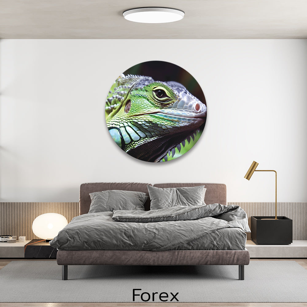 forex-muurcirkel-slaapkamer