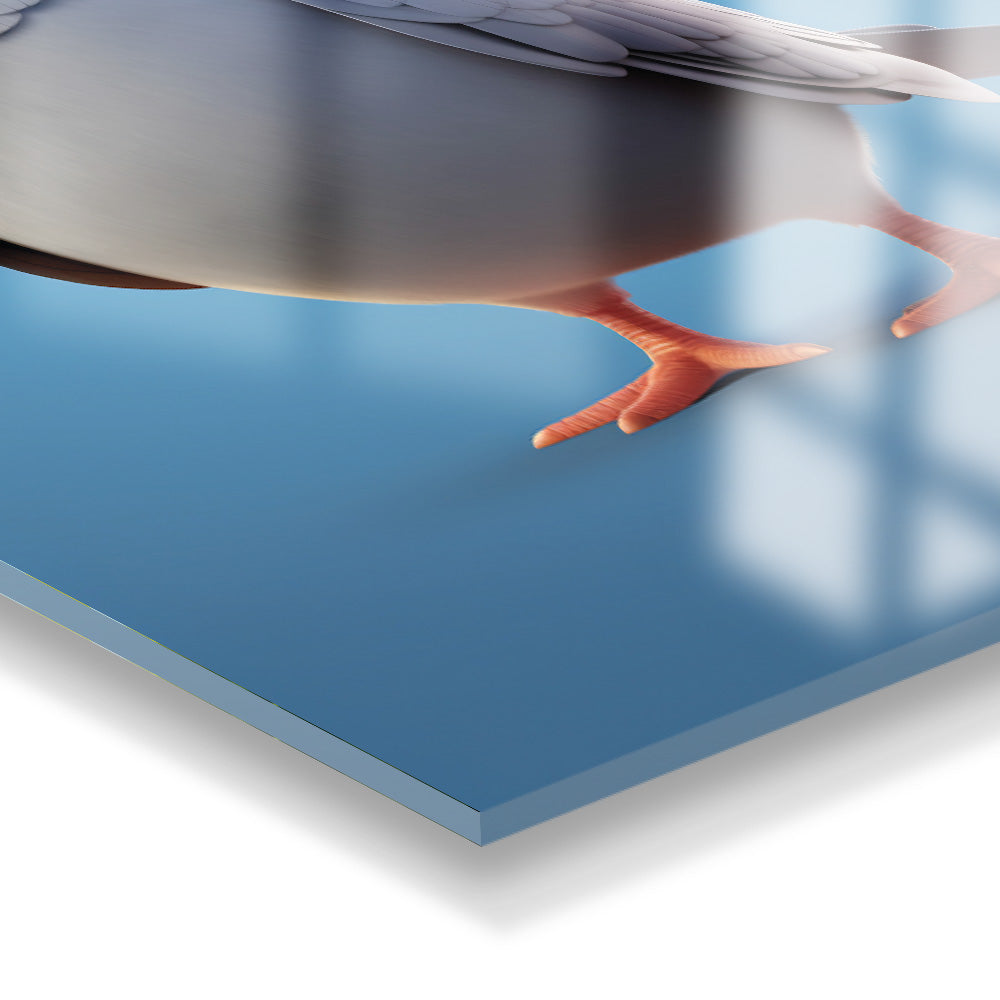 Glasschilderij Duif 3D
