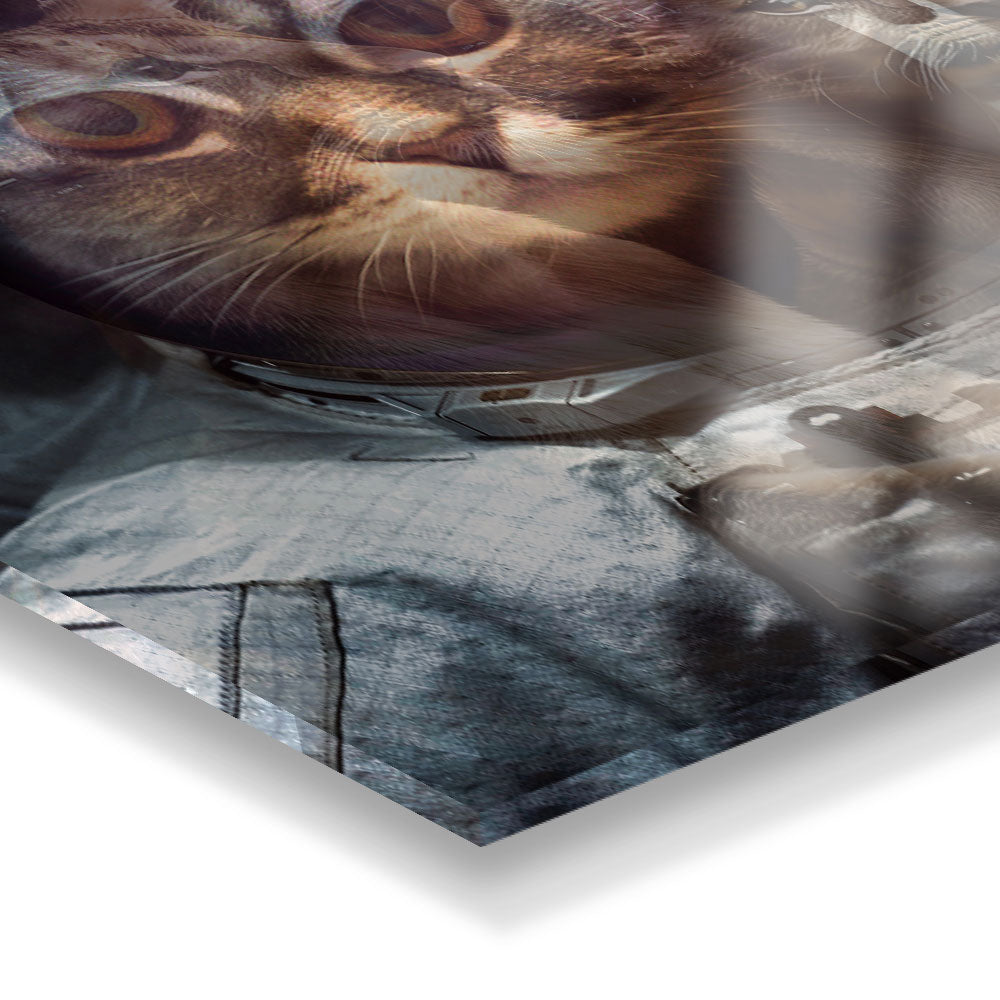 glasschilderij astronaut kat zijkant