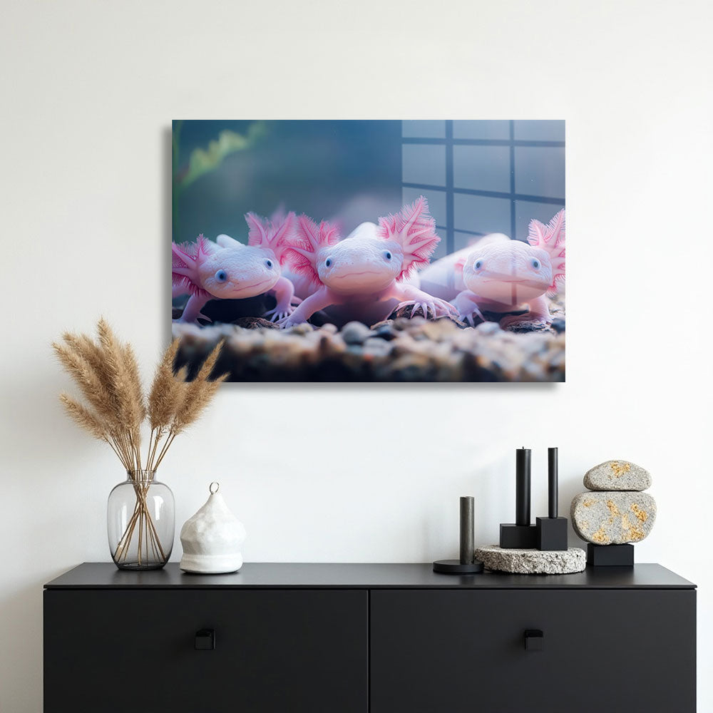 glasschilderij axolotl familie muur