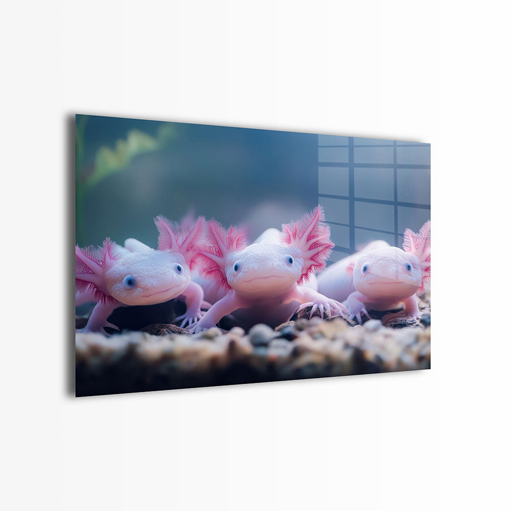glasschilderij axolotl familie voorkant