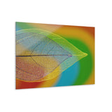 glasschilderij-doorzichtig-blad-productfoto
