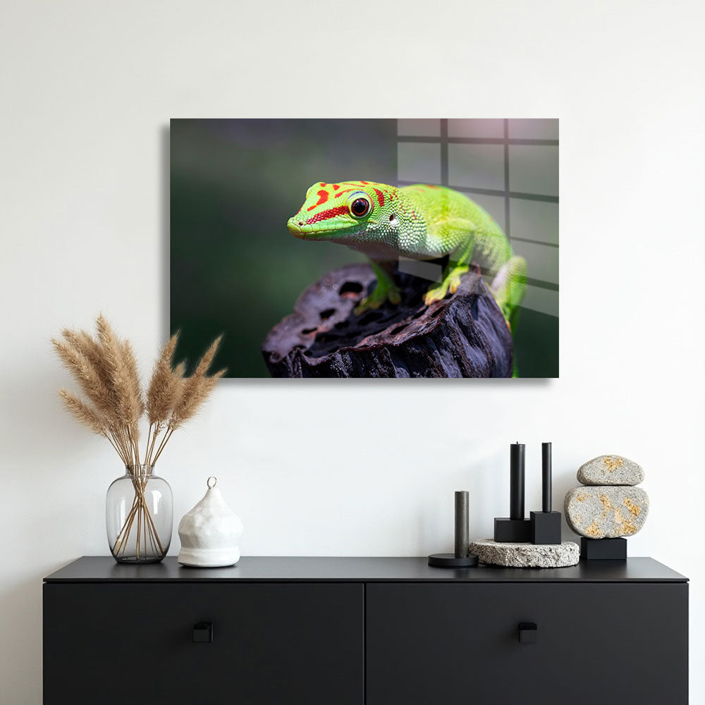 glasschilderij gekko muur
