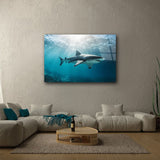 glasschilderij-haai-huiskamer