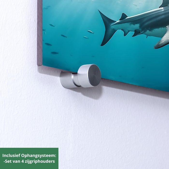 glasschilderij-haai-zijgriphouders