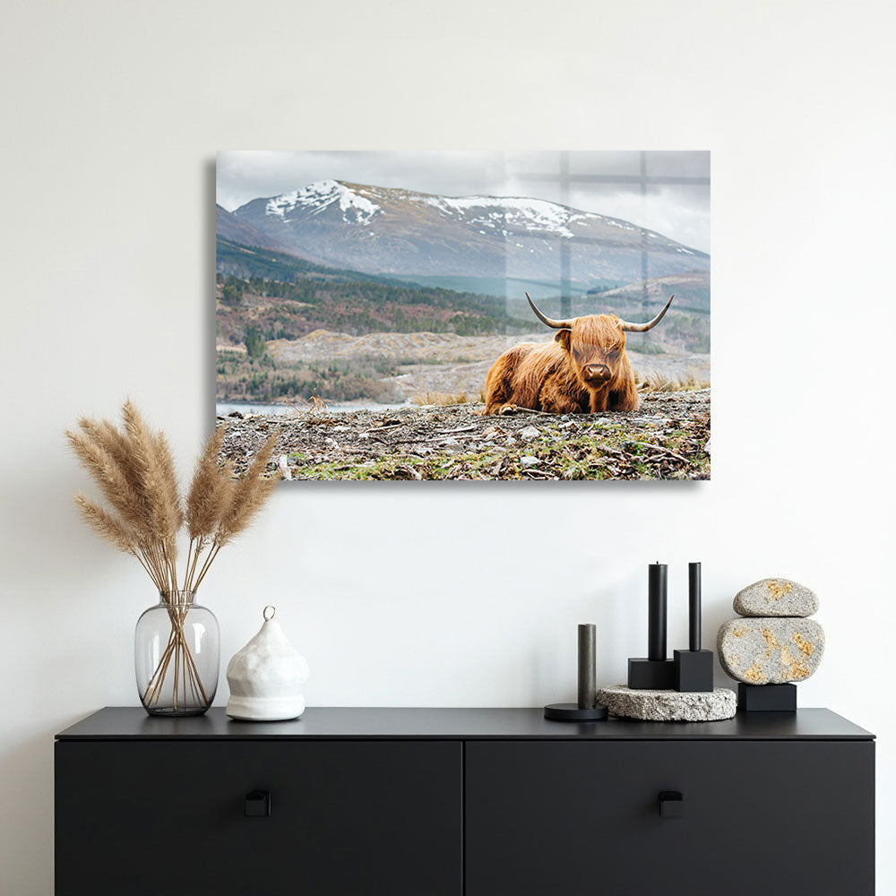 glasschilderij hooglander bergen muur