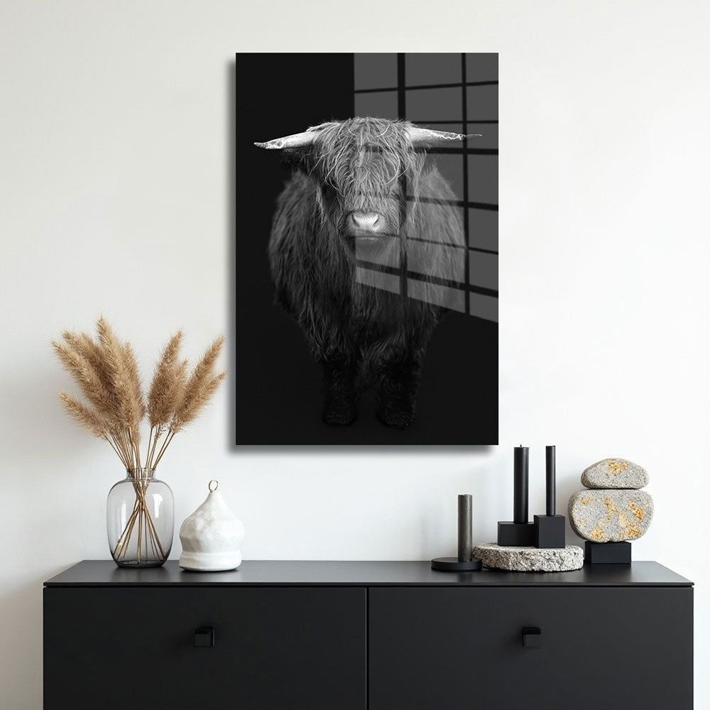 glasschilderij hooglander zwart wit muur