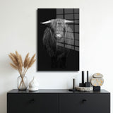 glasschilderij hooglander zwart wit muur