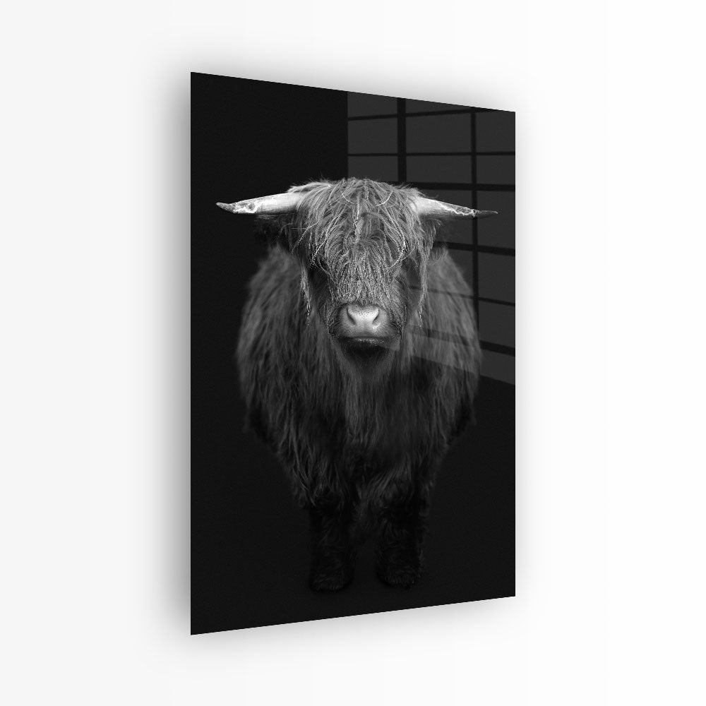 glasschilderij hooglander zwart wit voorkant