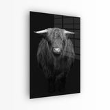 glasschilderij hooglander zwart wit voorkant