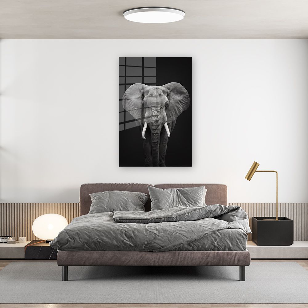 glasschilderij olifant zwart wit muurdecoratie 6