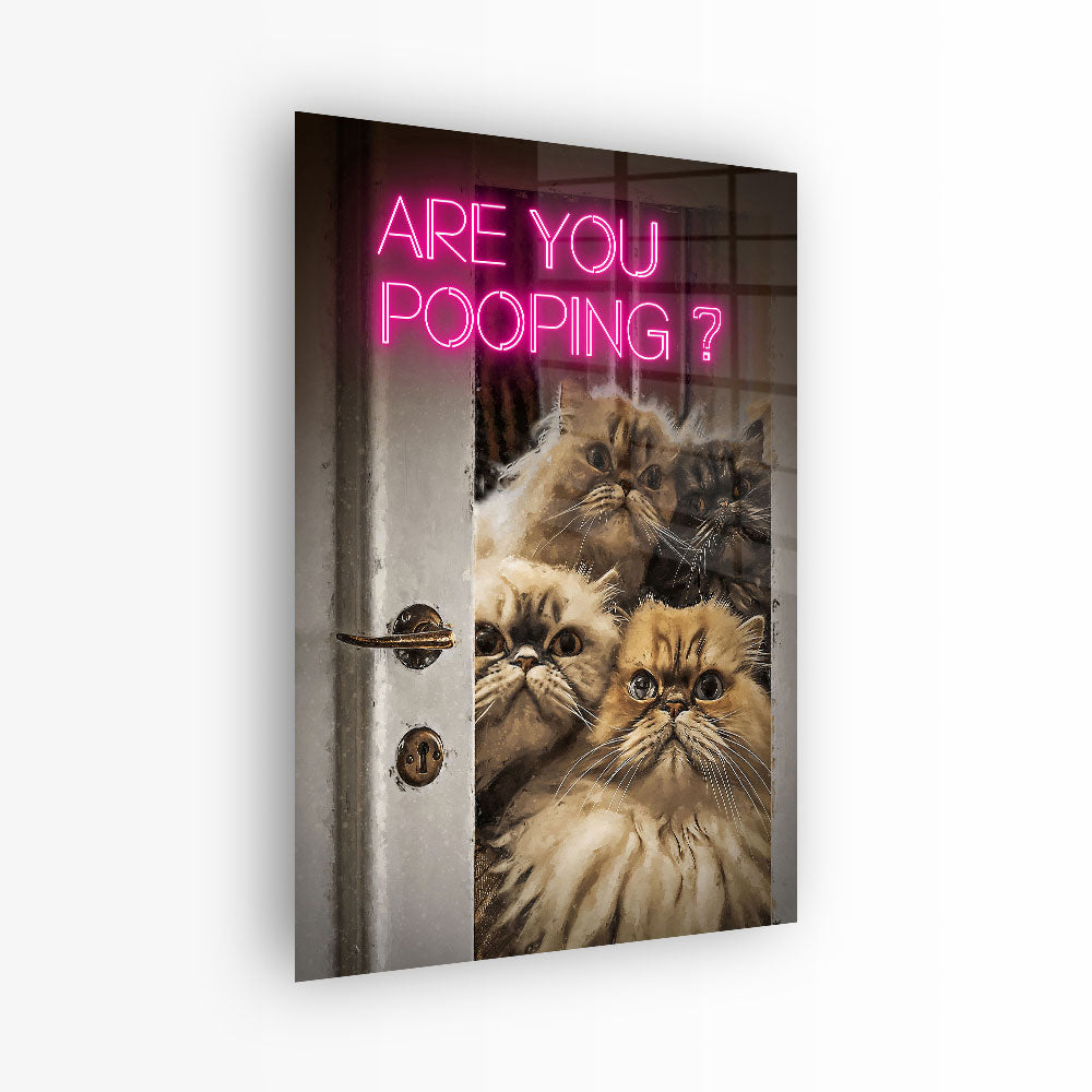 glasschilderij smelly cat voorkant